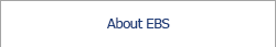 About EBS